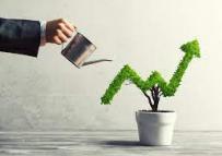 کیفیت بالا و رشد نسبت‌های سودآوری در سال جاری